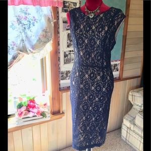 Venus beautiful navy lace dress